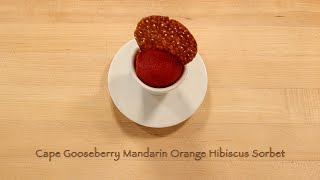 Cape Gooseberry Mandarin Orange Hibiscus Sorbet [upl. by Modla]