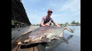 Thailand 2024 Part 2 Amazon BKK and Bungsamran Fishing Parks [upl. by Ernestine259]