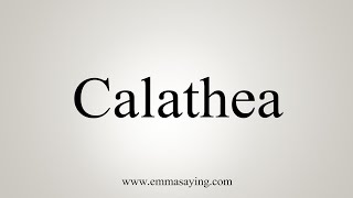 How To Say Calathea [upl. by Buell]