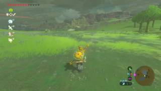 How to Get Easy Hot Footed Frogs in Breath of the Wild Wasting Time [upl. by Renado]