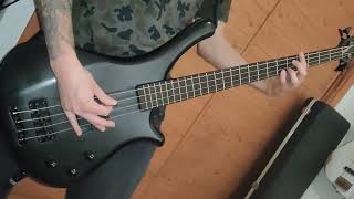 Straws Pulled At Random Bass Cover Meshuggah Weekly Riff 1 [upl. by Yrrah588]