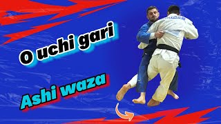 O  uchi  gari  Variations and Combinations [upl. by Dalpe221]