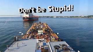 Dont be Stupid [upl. by Nanji]