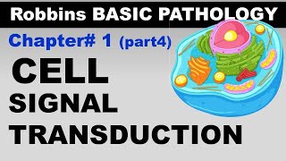 Chp1 part4 Robbins Basic Patho  Cellular Activation  Signal Transduction Pathways [upl. by Yuht]