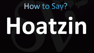 How to Pronounce Hoatzin correctly [upl. by Nerac962]