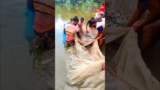 Fishing pond fishing Catch natarul automobile fishing travel fish lake [upl. by Lahcsap]