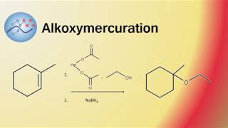 Alkoxymercuration Example Mechanism Synthesis of 1Ethoxy1methylcyclohexane  Organic Chemistry [upl. by Ahset]