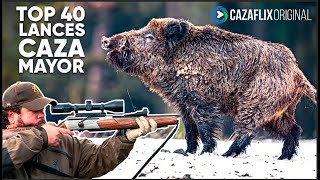 TOP 40 MEJORES LANCES DE CAZA MAYOR 2024 jabalí venado corzo  TOP 40 best hunting kill shots [upl. by Ahsilra]