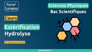 cours Estérification  Hydrolyse  Lyceenatn [upl. by Esinaej455]