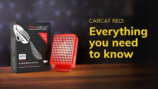 CARCAT RED  RAT REPELLENT FOR CAR  HOW TO USE  EVERYTHING YOU NEED TO KNOW [upl. by Enirehtak413]