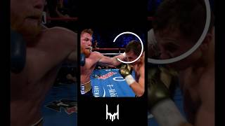 Golovkins durability that left Canelo stunned boxing [upl. by Suidualc269]