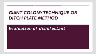 Ditch plateGiant colony techniqueDisinfectant evaluation3rd sem Microbiologypharmacy [upl. by Ahsiemal]