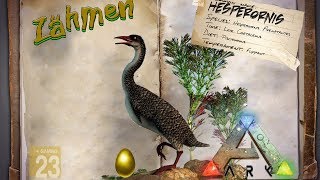 ARK‬ Survival Evolved GUIDEDeutsch  Hesperornis zähmen amp das goldene Ei  Patch 258 [upl. by Lisan]