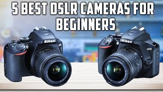 Top 5 Best DSLR Cameras For Beginners in 2024 [upl. by Castorina]