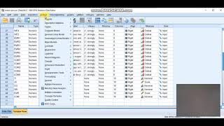 How to do Correlation analysis for likert scale data in SPSS  Amharic ኮሪሌሽን አማረኛ ቲሪያል [upl. by Monique400]