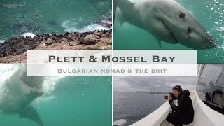 South Africa Trip Plettenberg Bay amp Mossel Bay [upl. by Aynwad]