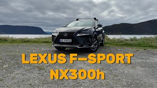 2019 Lexus Nx300h Fsport review  POVdrive [upl. by Nnaer]