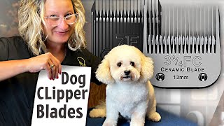 Dog Grooming Clipper BladesEverything You Need to Know [upl. by Anit]