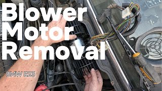 BMW E23 Blower Motor Removal  1985 735i [upl. by Leann]