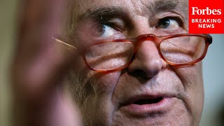 Trying Everything But Bipartisanship Chuck Schumer Slams House Republicans Continuing Resolution [upl. by Oderfodog]