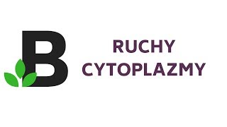 ruchy CYTOPLAZMY ruch cyrkulacyjny rotacyjny pulsacyjny fontannnowy  KOREPETYCJE z BIOLOGII  14 [upl. by Netsuj]