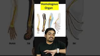 Evolution class 12 biology I homologous and analogous organ biology [upl. by Frankel]