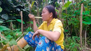 laxmi planting Onion in the village  Life in rural Nepal suryalaxmivlogs [upl. by Jasun]