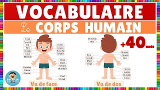 Vocabulaire  le corps humain  Français [upl. by Aivata]