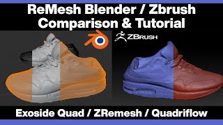 Blender  Zbrush  ReMesh amp ReTopology  Tutorial amp Comparison Exoside Quadriflow ZRemesher [upl. by Edrea]