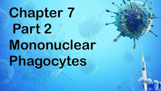 Chapter 7  Part 2 Mononuclear Phagocyte in immune defence [upl. by Atenek307]