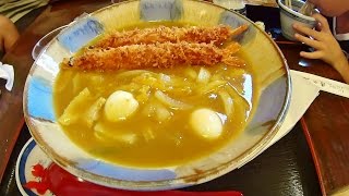 【めし動画】 ご当地グルメ 豊橋カレーうどん 清水庵 [upl. by Vedetta231]