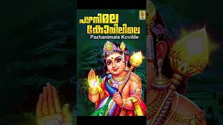 Pazhanimala kovilile  പഴനിമല കോവിലിലെ reels shorts pazhani shashti muruga palani viral [upl. by Ashbaugh]