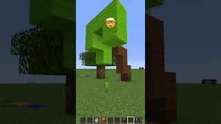 Normal Features vs Emoji Meme Face shorts minecraft meme [upl. by Mozart]