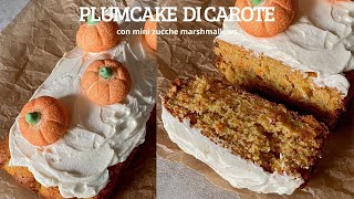 PLUMCAKE alle carote [upl. by Ididn]