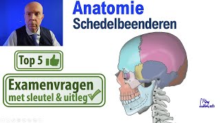 Schedel beenderen AnatomieSchedel Uitleg Top 5 examen vragen [upl. by Annoed]