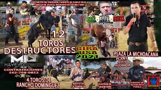 12 TOROS DESTRUCTORES EN LA GIRA USA 2021 DRAMA ACCION  DESTREZA Y FUERZA EN EL DEBUT EN FLORIDA [upl. by Kovacs214]