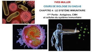 Chapitre 4  1ère Partie  Antigènes CMH et cellules du système immunitaire  Cours de Biologie [upl. by Lottie]