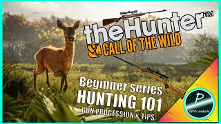 HUNTER CALL OF THE WILD BEGINNER SERIES  HUNTING 101 GUN PROGESSION amp TIPS [upl. by Trula]