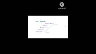 Levels of Solo Taxonomy  Curriculum Design  BSBscMsc students [upl. by Alf]