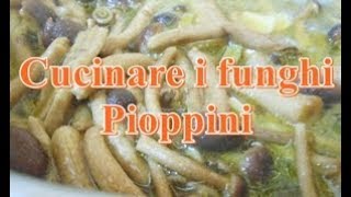 Come cucinare i funghi in padella [upl. by Lacim]