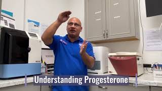 Understanding Canine Progesterone Levels  SoCal K9 Clinic [upl. by Ocir]