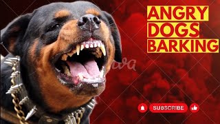 Dog Growling and Barking Sounds Compilation Angry Rottweiler [upl. by Janina]