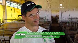 03062014  Fazenda São Paulo MG  Ourofino em Campo [upl. by Nlyak696]