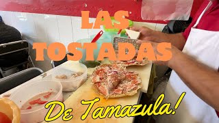 Las Totadas De Tamazula Jalisco [upl. by English]