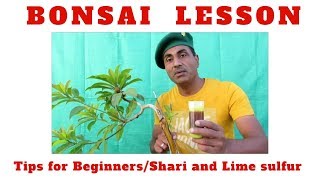 Bonsai LessonTalking to BeginnersShari and Lime sulfurBonsai Hunter [upl. by Elora]