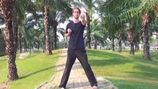 Wing Chun First Form  Siu Nim Tao  The Little Idea [upl. by Werda]