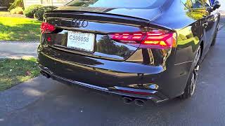 2024 Audi S5 Sportback w OEM Sport Resonator Exhaust Cold Start [upl. by Metabel]