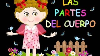 LAS PARTES DEL CUERPO HUMANO EN ESPAÑOL  VIDEO PARA NIÑOS  BODY PARTS IN SPANISH FOR CHILDRENS [upl. by Wyly305]