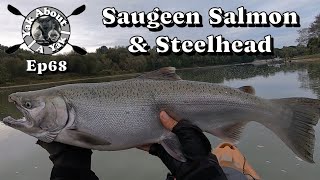 YakAboutAYak Ep68  Saugeen Salmon amp Steelhead [upl. by Yreffej]