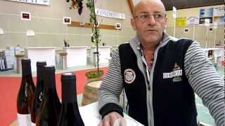 blog vidéo Gilles Limone Pdt salon vins Chavanay [upl. by Ewens]